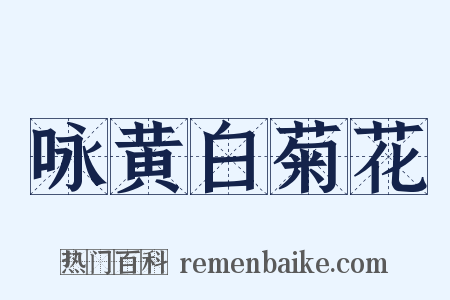 咏黄白菊花是什么意思的图片